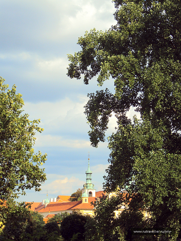 photo 1862474