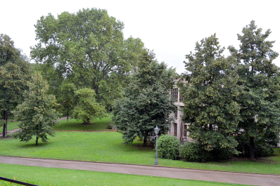 photo 1544320
