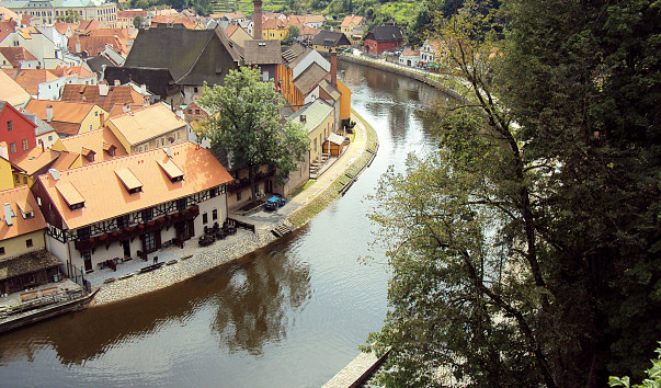 DSC5392