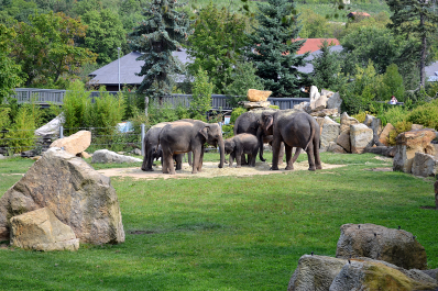 photo 1540546