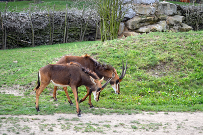 photo 1546982