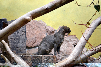 photo 1577756