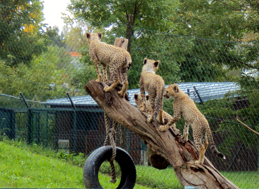 photo 1627868