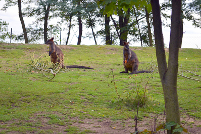 photo 1737928