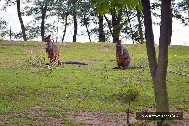 photo 1737928