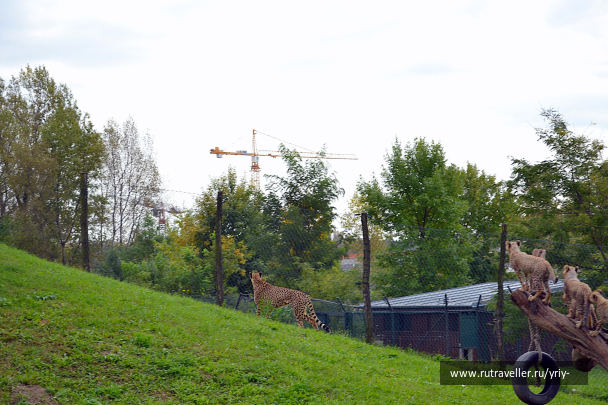 photo 1742407