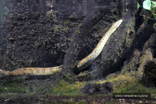 photo 1754721