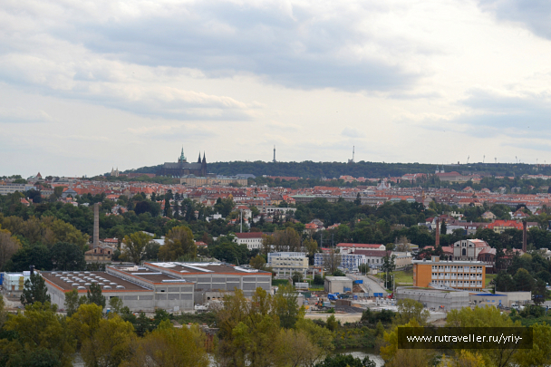 photo 1691446