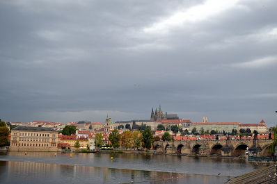 photo 1544319