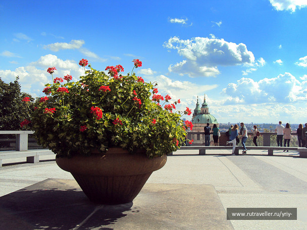 photo 1677420