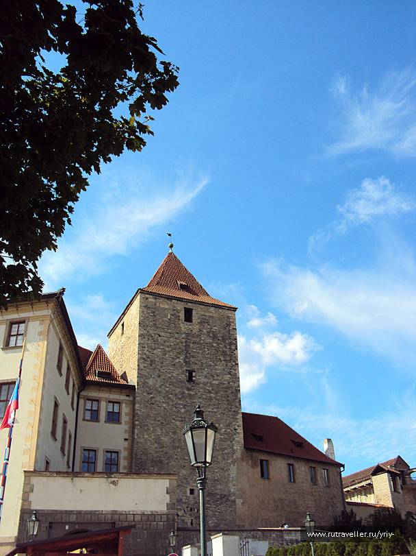 photo 1681484