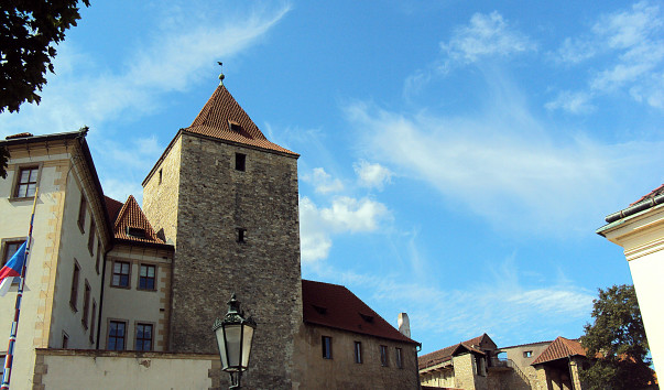 DSC5619