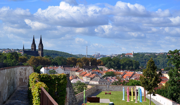 DSC_09117