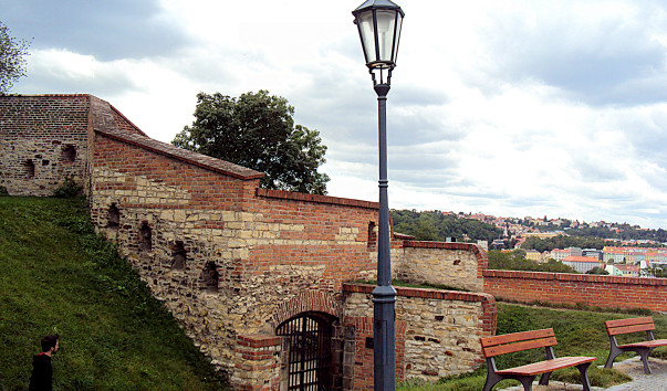 DSC5981