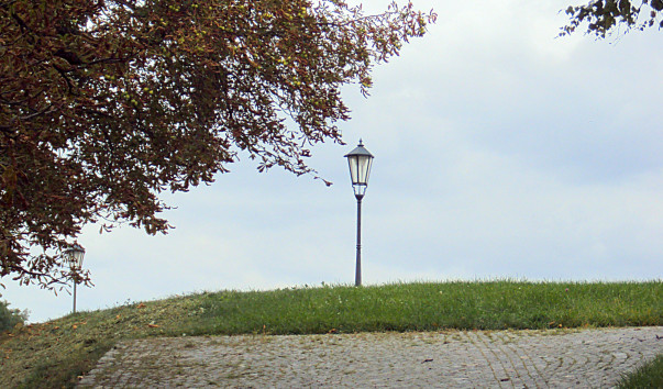 DSC5952