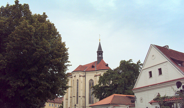 DSC5241