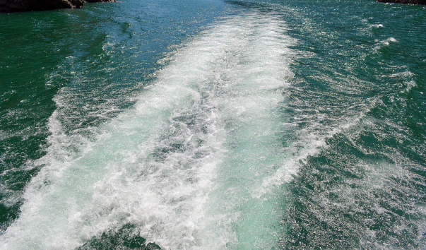 DSC_07586.jpg