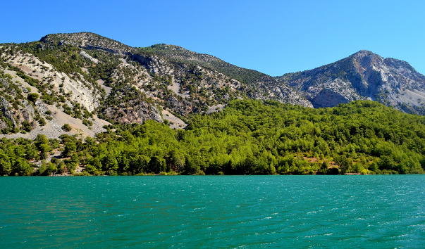 DSC_07498.jpg