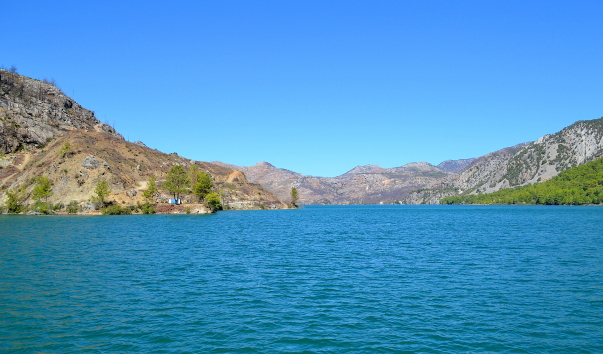 DSC_07524.jpg