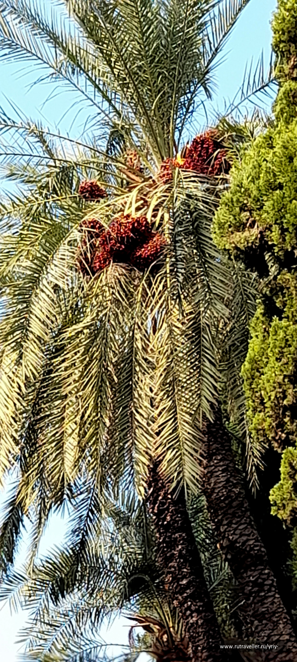 photo 2088442