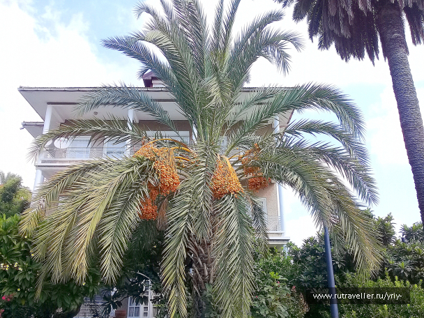 photo 2092503
