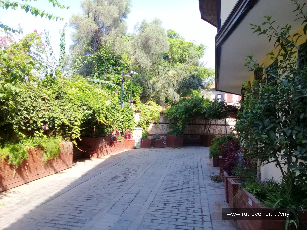 photo 2098213