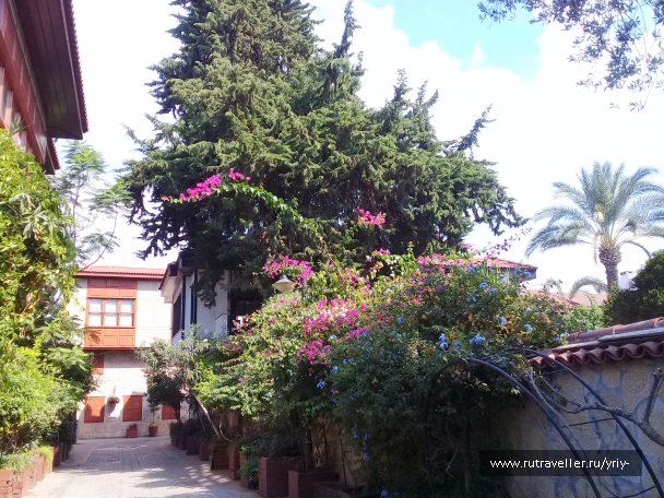 photo 2099572
