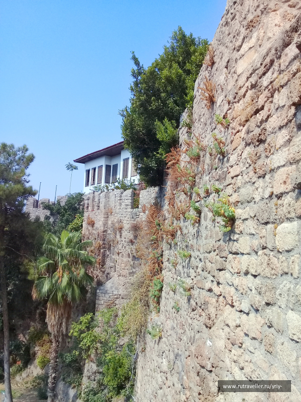 photo 2113179