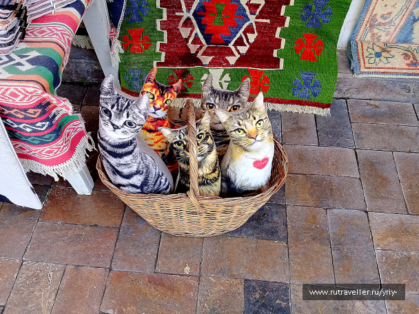 photo 2121444