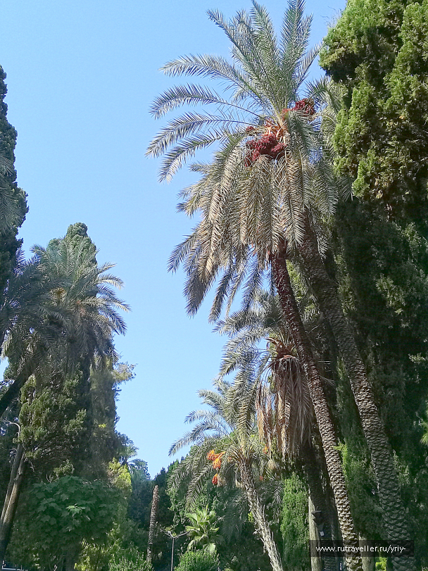 photo 2122309
