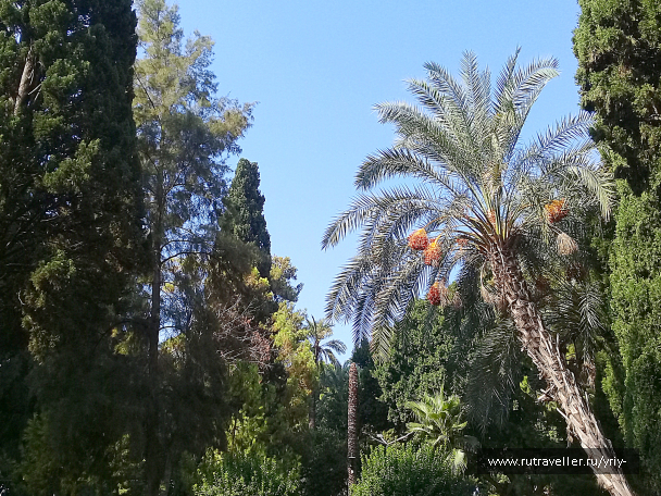 photo 2123705