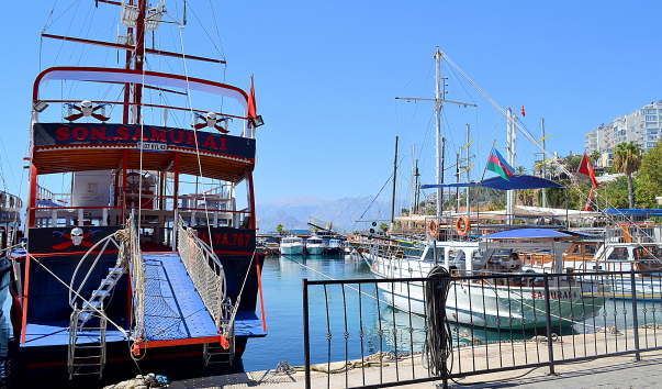 DSC_07733.jpg