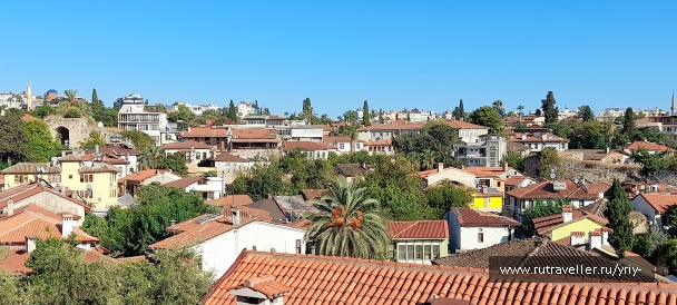 photo 2139542