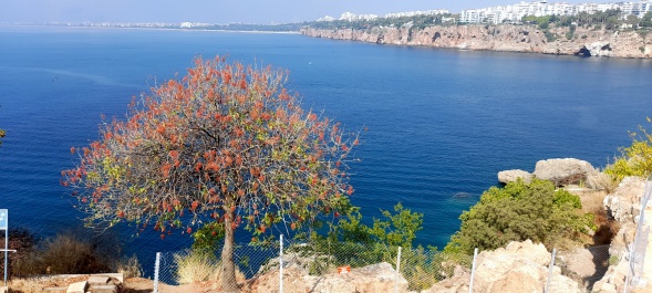 photo 2140142