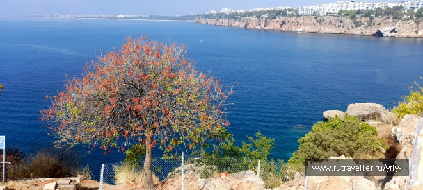 photo 2140142