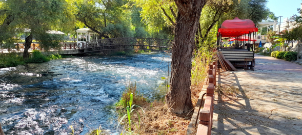 photo 2068213