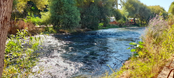 photo 2072173