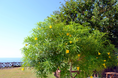 photo 2079673