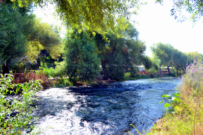 photo 2085532