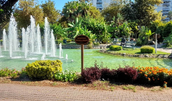 DSC_7269.jpg