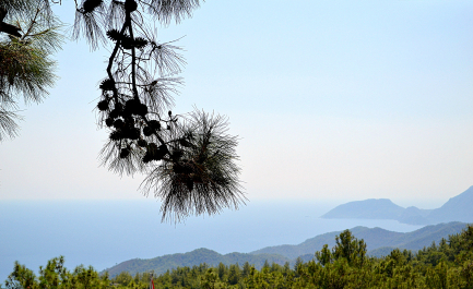 photo 2098323