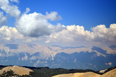 photo 2117446