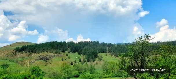 photo 2136302