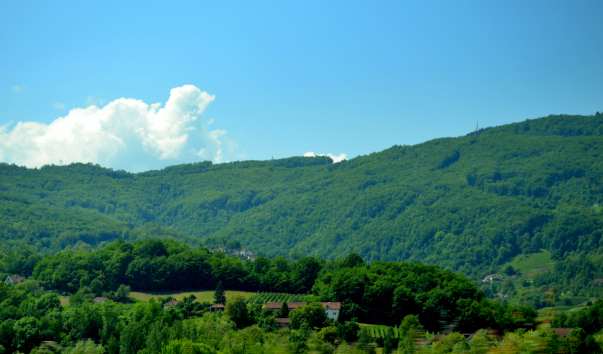 DSC_08677