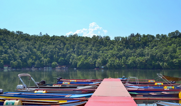 DSC_08668.JPG