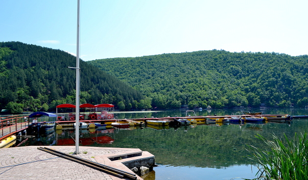 DSC_08659.JPG