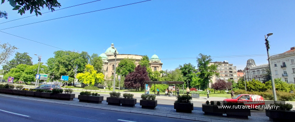 photo 2122277