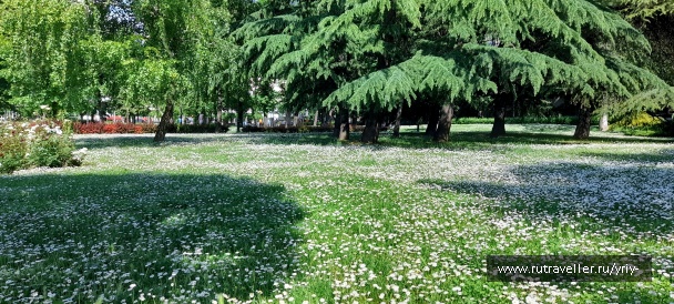 photo 2133458