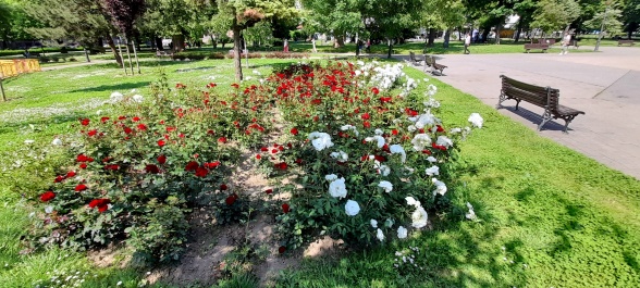 photo 2135592