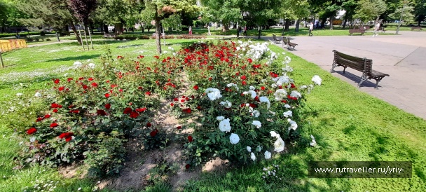 photo 2135592